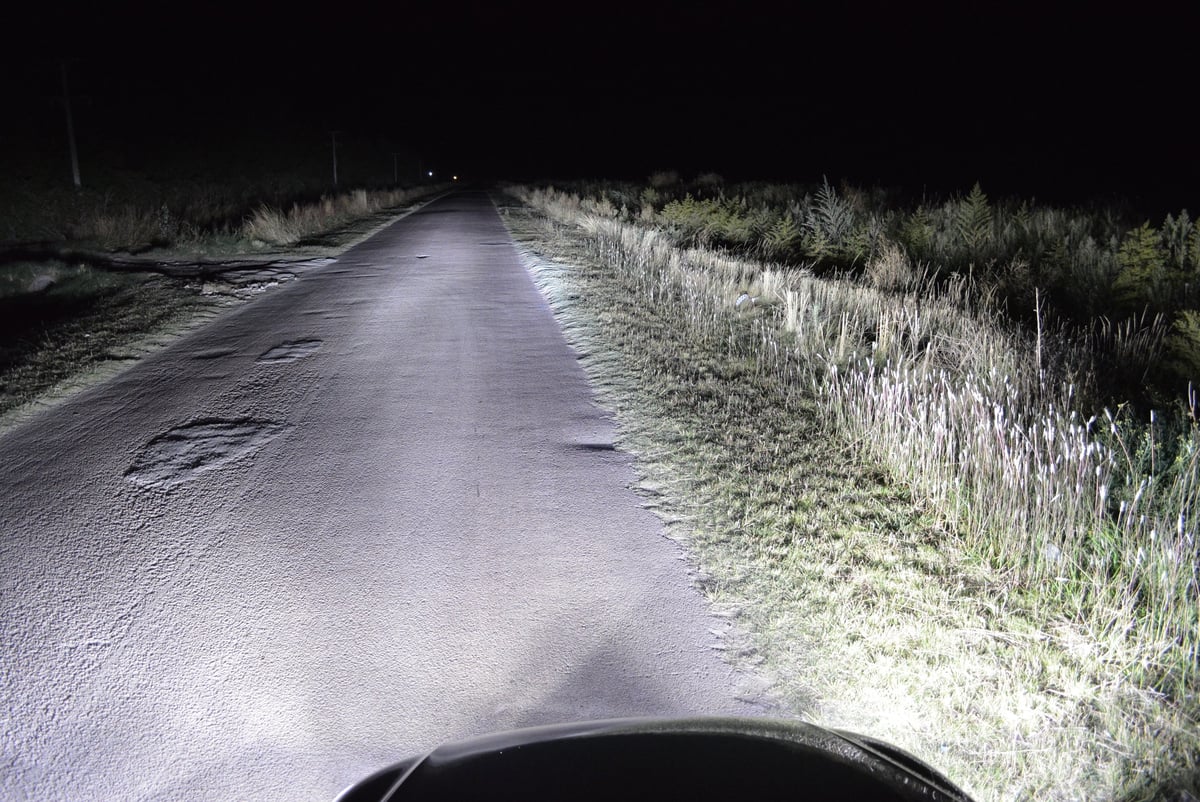 Night-time view from a vehicle driving down a rural gravel road surrounded by overgrown grass and vegetation